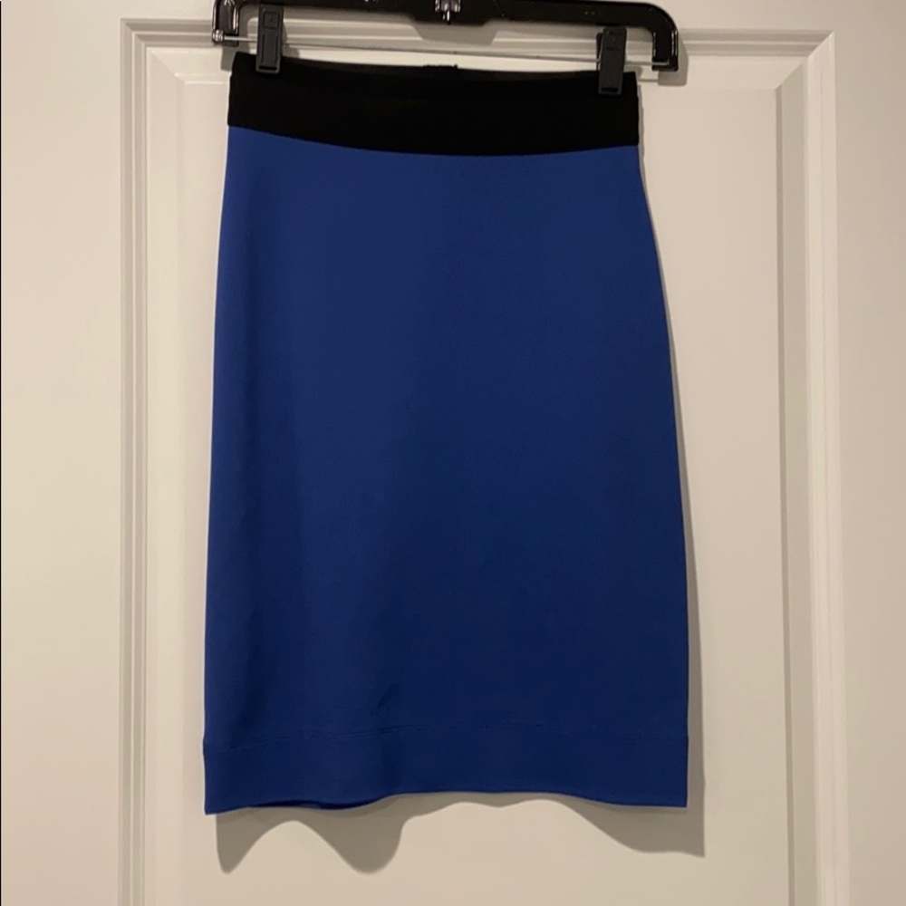 Bcbg skirt.  New condition.